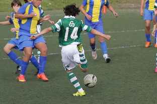 开云·体育官网APP下载-体育纪录片内容更加丰富，体育纪录片主题