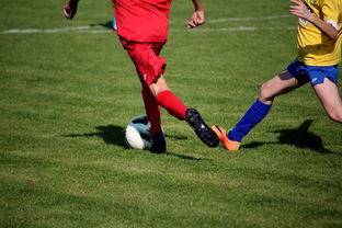 Kaiyun官方登录入口-男篮国家队专项安排外线射手训练增强火力输出，男篮外援