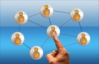 开云官方-冠军球队社会责任项目获社区高度评价与广泛参与，冠军组织的定义